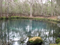 Manatee Springs